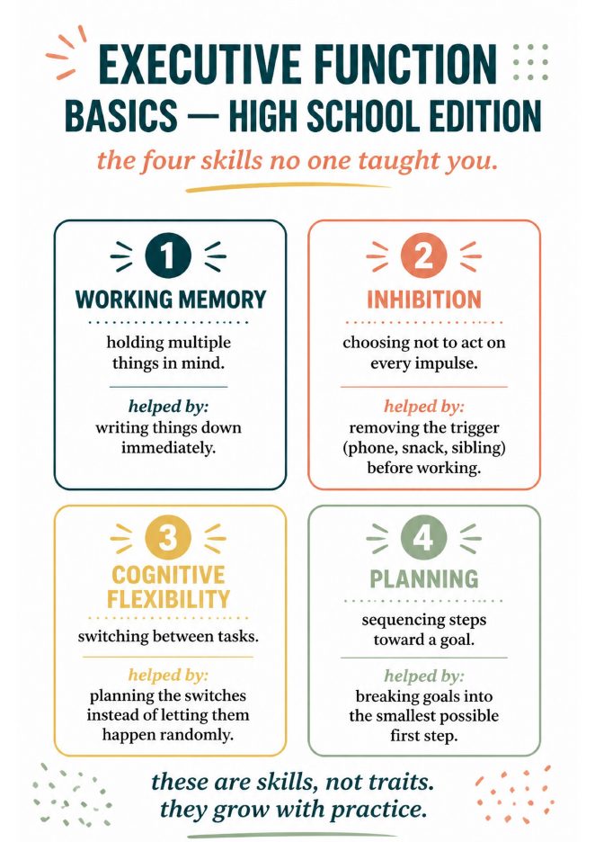 Executive function basics, high school edition