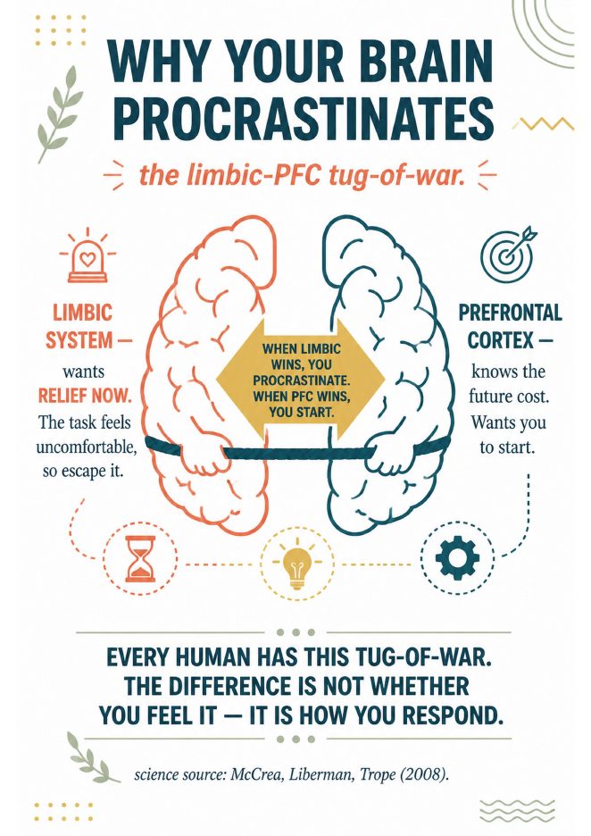 Infographic page: Why your brain procrastinates